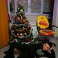 Женя  Осечков фото №1376869