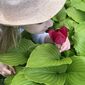 Діана Олексіївна Вербещук фото №1406432