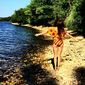 Алина Леонидовна Буксанчук фото №1110474