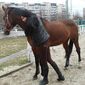 Natallya  Doroshenko-Florya фото №1023838