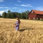 Tatti  Kantareller фото №971294