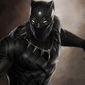 Black Panther Cast management фото №1327772