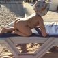 Владимир Владимирович Карпенко фото №967568
