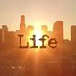 LifeOnline   фото №985983