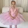 Аріша  Книжник фото №1759811