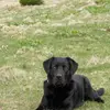 Євгенія  Плетньова фото №1742758