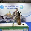 Карина Георгіївна Виблова фото №1743398