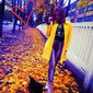 Крістіна Богданівна Коротка фото №997290