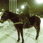 Инара Равшановна Кулумбетова фото №307833