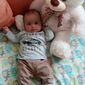 Арсеній Артемович Севастьян фото №1001642