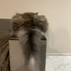 Владислав  Тихановський фото №1747251