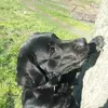 Євгенія  Плетньова фото №1742759