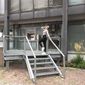 Алина  Захарова фото №1293446