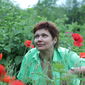 Светлана  Баулина фото №1001582