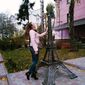 Оля Богданівна  фото №1313575