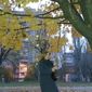 Алина Руслановна Филатова фото №1159852