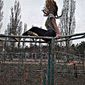 Анжелика Сергеевна Прокопчук фото №1217821