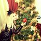 Кузнецова  Ирина фото №866374