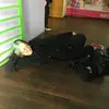 дима  марголдин фото №1738830