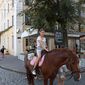 Мария Олегивна Красюк фото №1325998