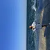 Ольга  Берташ фото №1737630