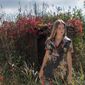 София Романовна Полякова фото №1458103