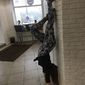 Анастасия  Антипина фото №1325774