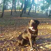 Євгенія  Плетньова фото №1742760