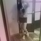 Карина Олеговна Эсаулова фото №924502