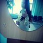 Анастасия Андреевна Цыпцюра фото №1211889