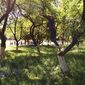 Тетяна Миколаївна Малицька фото №1254260