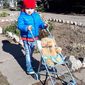 Денис Игоревич Налбантов фото №1305648