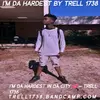 Trell 1738  & Maddy фото №1740902