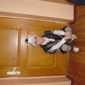 Матвей  Свичка фото №865364