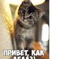 Рома  Овдий фото №1507536